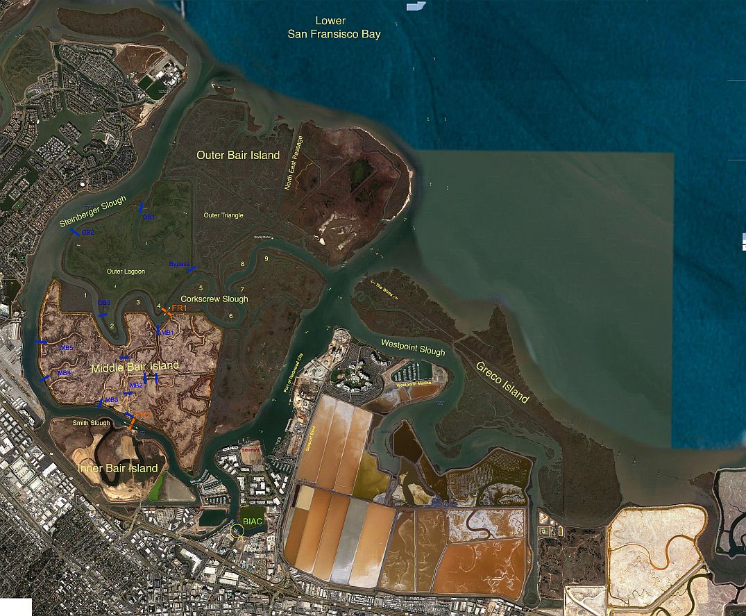 Satellite Image of Bair Island and Waterways